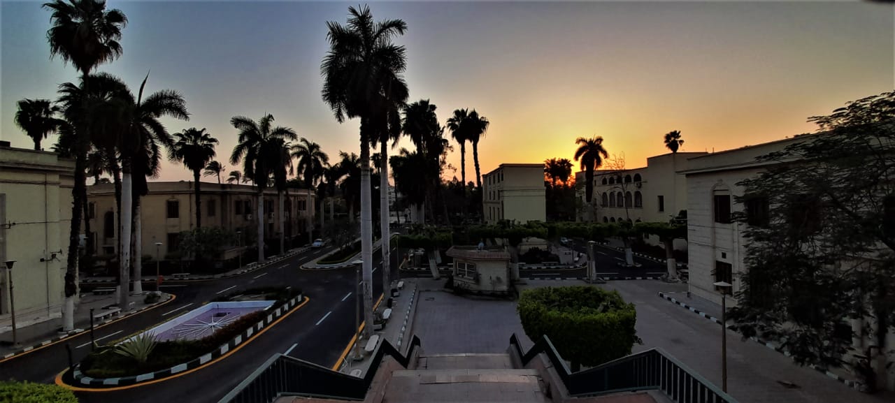 أنجازات السيد الاستاذ الدكتور عمرو مصطفى عميد كلية زراعة جامعة القاهرة خلال 